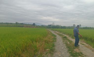 Venta de Terreno en Ricaurte, Los Ríos