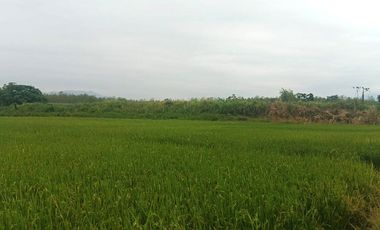 Venta de Terreno en Ricaurte, Los Ríos