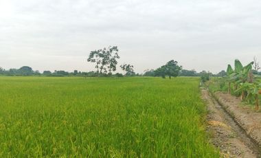 Venta de Terreno en Ricaurte, Los Ríos