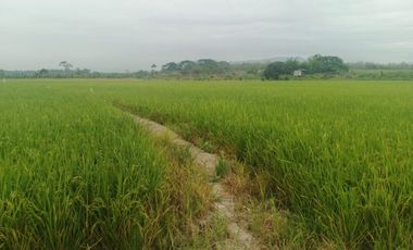 Venta de Terreno en Ricaurte, Los Ríos