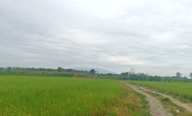 Venta de Terreno en Ricaurte, Los Ríos