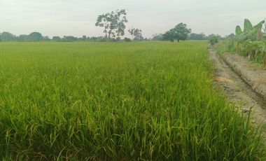 Venta de Terreno en Ricaurte, Los Ríos