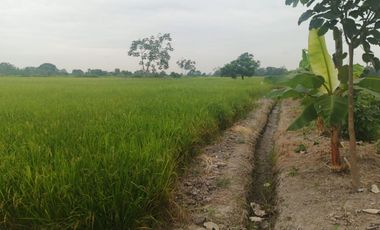 Venta de Terreno en Ricaurte, Los Ríos