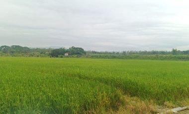 Venta de Terreno en Ricaurte, Los Ríos