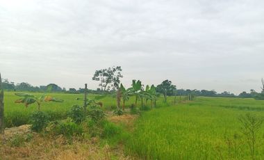 Venta de Terreno en Ricaurte, Los Ríos