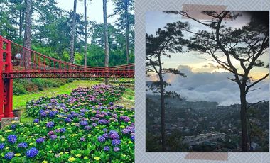 🔥 HOT DEAL: Pine-View Residential Lot – Balacbac, Sto. Tomas (Baguio City Area)