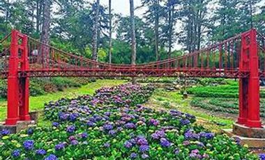 🔥 HOT DEAL: Pine-View Residential Lot – Balacbac, Sto. Tomas (Baguio City Area)