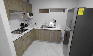 Departamento en Renta San Nicolas