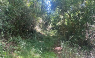 ¡Oportunidad de inversión! 20 hectareas en Chancoyan Bajo.