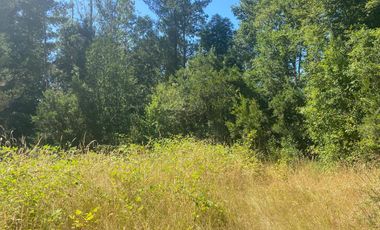 ¡Oportunidad de inversión! 20 hectareas en Chancoyan Bajo.