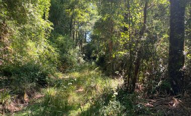 ¡Oportunidad de inversión! 20 hectareas en Chancoyan Bajo.