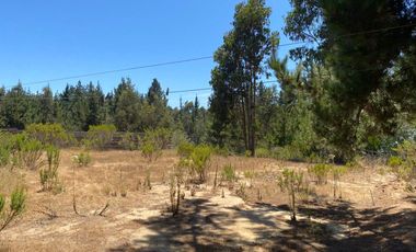 Venta De Parcela Con Casa En El Tototal, El Quisco