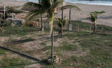 TERRENO PUNTA ZICATELA, PUERTO ESCONDIDO, OAXACA, FRENTE DE PLAYA.