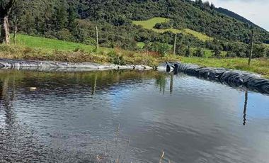 Vendo hacienda 57 hectáreas en Mojanda