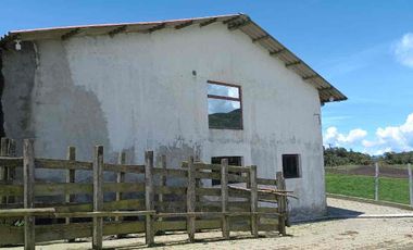 Vendo hacienda 57 hectáreas en Mojanda