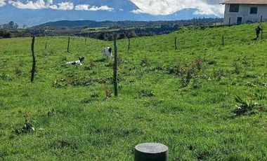 Vendo hacienda 57 hectáreas en Mojanda