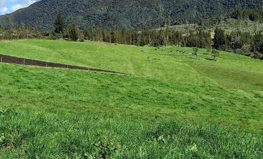 Vendo hacienda 57 hectáreas en Mojanda