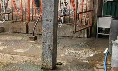 Vendo hacienda 57 hectáreas en Mojanda