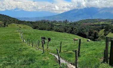 Vendo hacienda 57 hectáreas en Mojanda