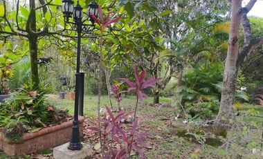 CASA CAMPESTRE EN VENTA EN SANTANDER DE QUILICHAO - ID 895