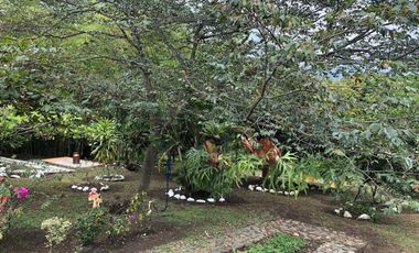 CASA CAMPESTRE EN VENTA EN SANTANDER DE QUILICHAO - ID 895