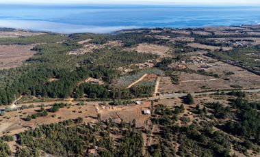 Se venden Lindas Parcelas en Cáhuil, El Pangal Pichilemu