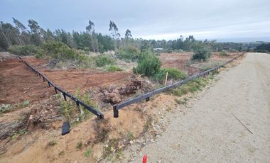 Se venden Lindas Parcelas en Cáhuil, El Pangal Pichilemu