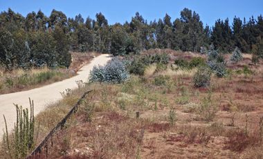 Se venden Lindas Parcelas en Cáhuil, El Pangal Pichilemu