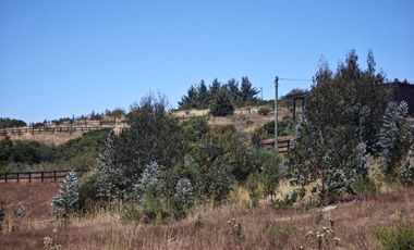 Se venden Lindas Parcelas en Cáhuil, El Pangal Pichilemu