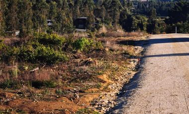 Se venden Lindas Parcelas en Cáhuil, El Pangal Pichilemu