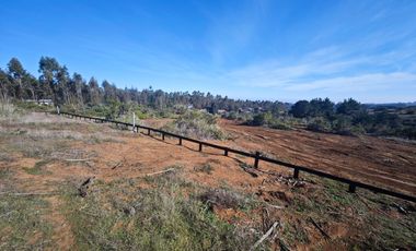 Se venden Lindas Parcelas en Cáhuil, El Pangal Pichilemu