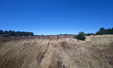 Se venden Lindas Parcelas en Cáhuil, El Pangal Pichilemu