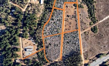 Se venden Lindas Parcelas en Cáhuil, El Pangal Pichilemu