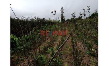 Venta De Terreno Agricola O Para Casa De Campo