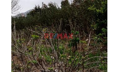 Venta De Terreno Agricola O Para Casa De Campo