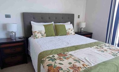 Arriendo dpto amoblado