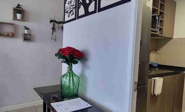 Arriendo dpto amoblado