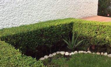 Casa en Renta en Jardines de Coyoacan