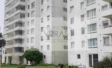 Se arrienda año corrido amplio departamento a pasos de la Av del Mar.