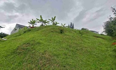 Jual Cepat Tanah bawah Pasaran di Setiabudi Regency