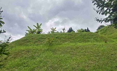 Jual Cepat Tanah bawah Pasaran di Setiabudi Regency