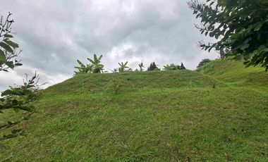 Jual Cepat Tanah bawah Pasaran di Setiabudi Regency