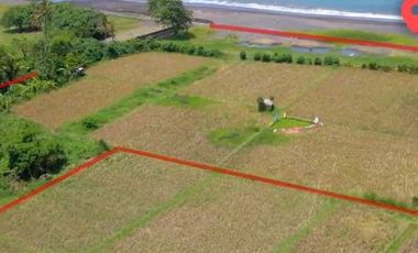Dijual Kavling Gianyar, Bali Sangat Strategis