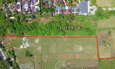 Dijual Kavling Gianyar, Bali Sangat Strategis