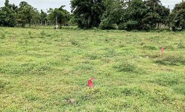 For Sale: Land located at Villa Soledad Brgy. Estefania, Bacolod City