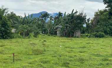 For Sale: Land located at Villa Soledad Brgy. Estefania, Bacolod City