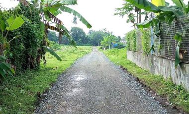 For Sale: Land located at Villa Soledad Brgy. Estefania, Bacolod City