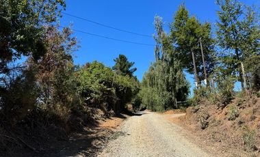2 hectáreas en el bosque entre Gorbea y Loncoche
