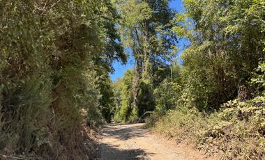 2 hectáreas en el bosque entre Gorbea y Loncoche