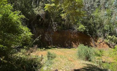 2 hectáreas en el bosque entre Gorbea y Loncoche